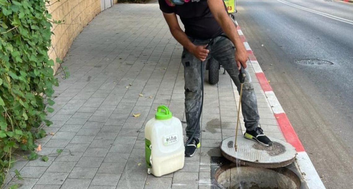 מבצע הדברה בכפר סבא