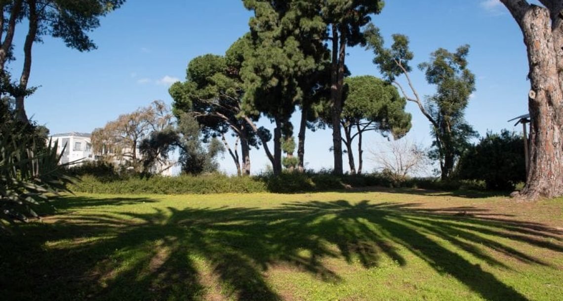 כפר סבא מתחדשת: פרויקט הפודטראקים יוצא לדרך