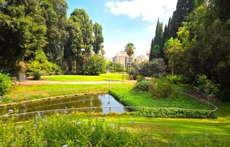 לפי סקר הלמ"ס לשנת 2024 כפר סבא מובילה באיכות החיים בישראל