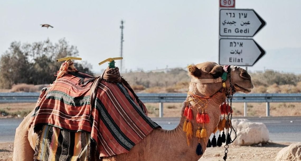 הטיפים שיחסכו לכם מאות שקלים בהזמנת חופשה באילת
