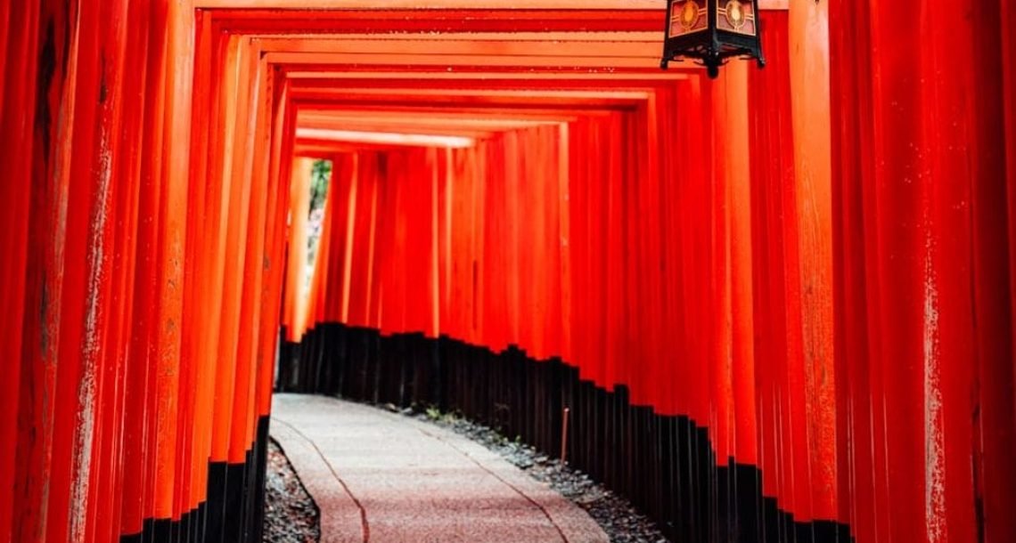 ורוד או זהב? הדילמה הגדולה של המטייל ליפן